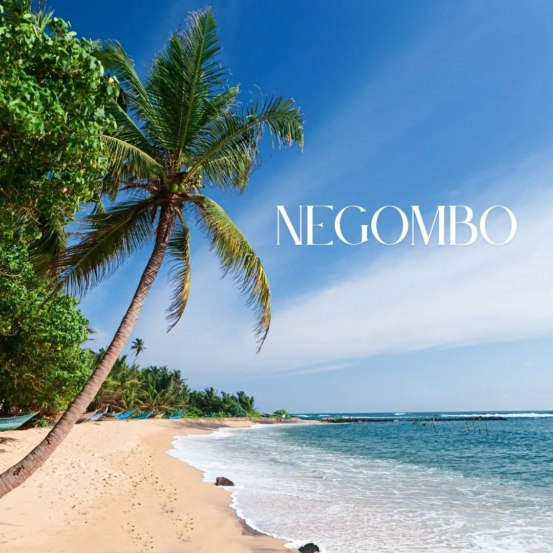 Negombo Beach
