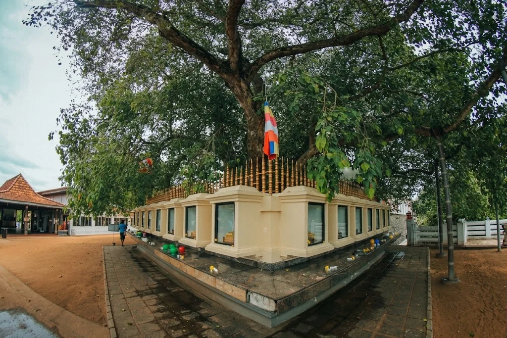 Kalutara Bodhiya