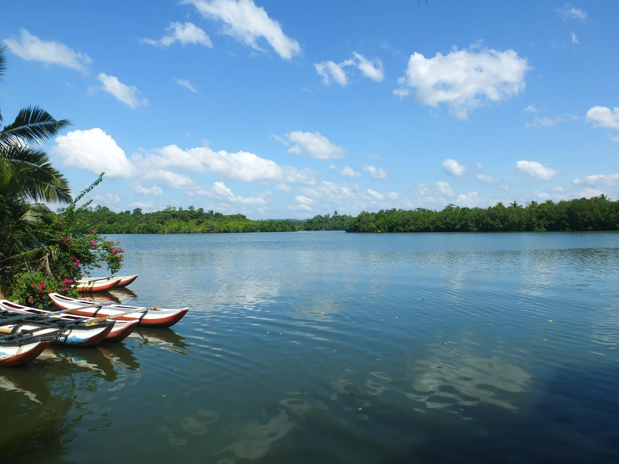 Koggala Lake