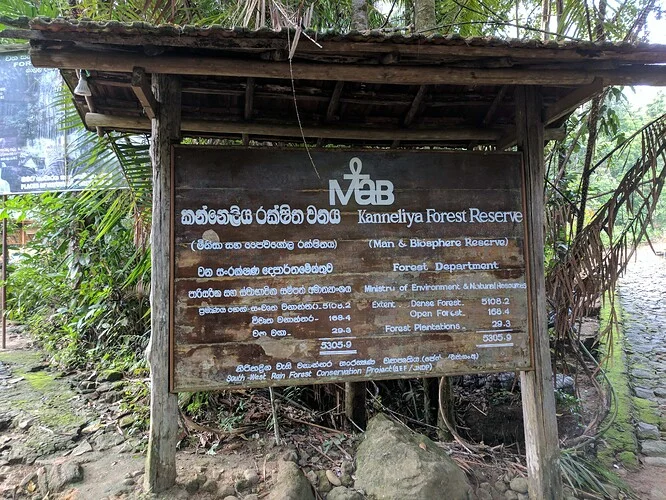 Kanneliya Rainforest