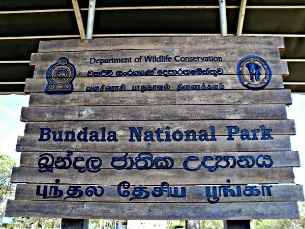 Bundala National Park