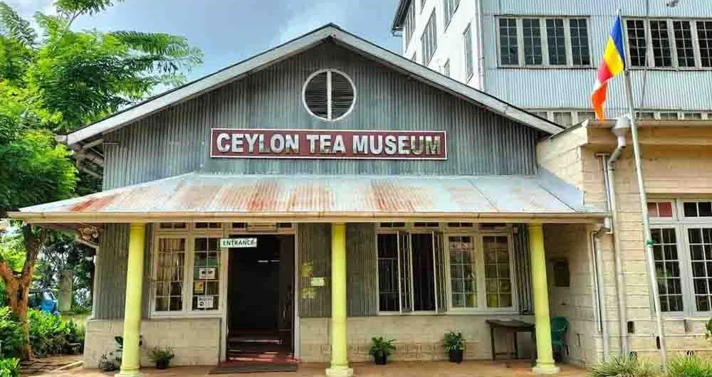 Ceylon Tea Museum