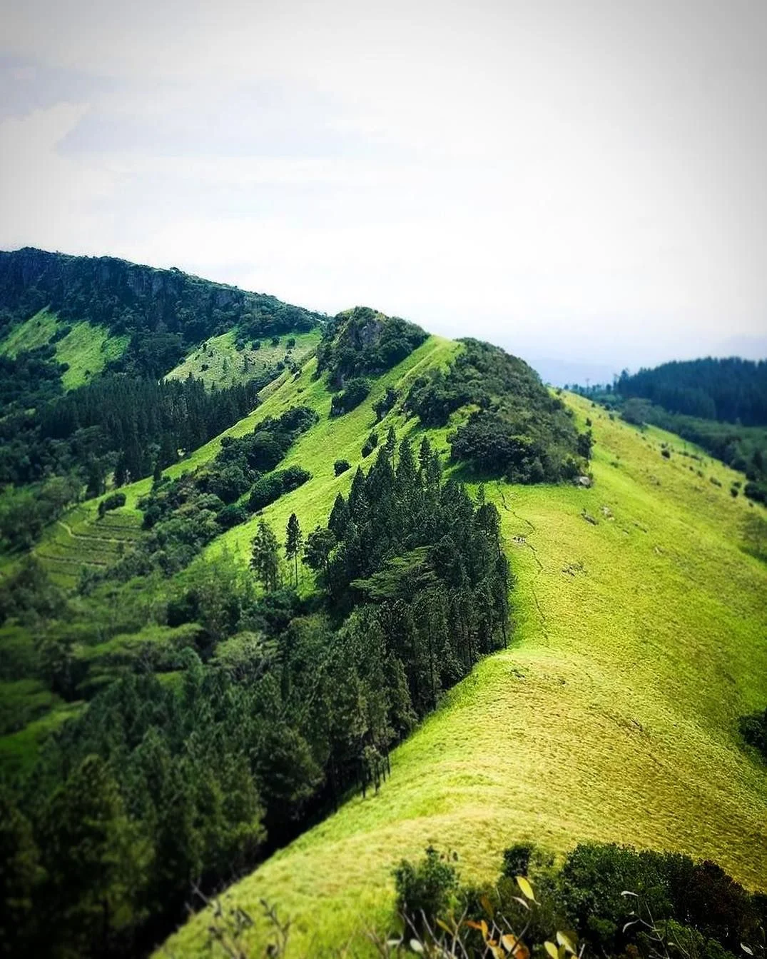 Hanthana Mountain Range