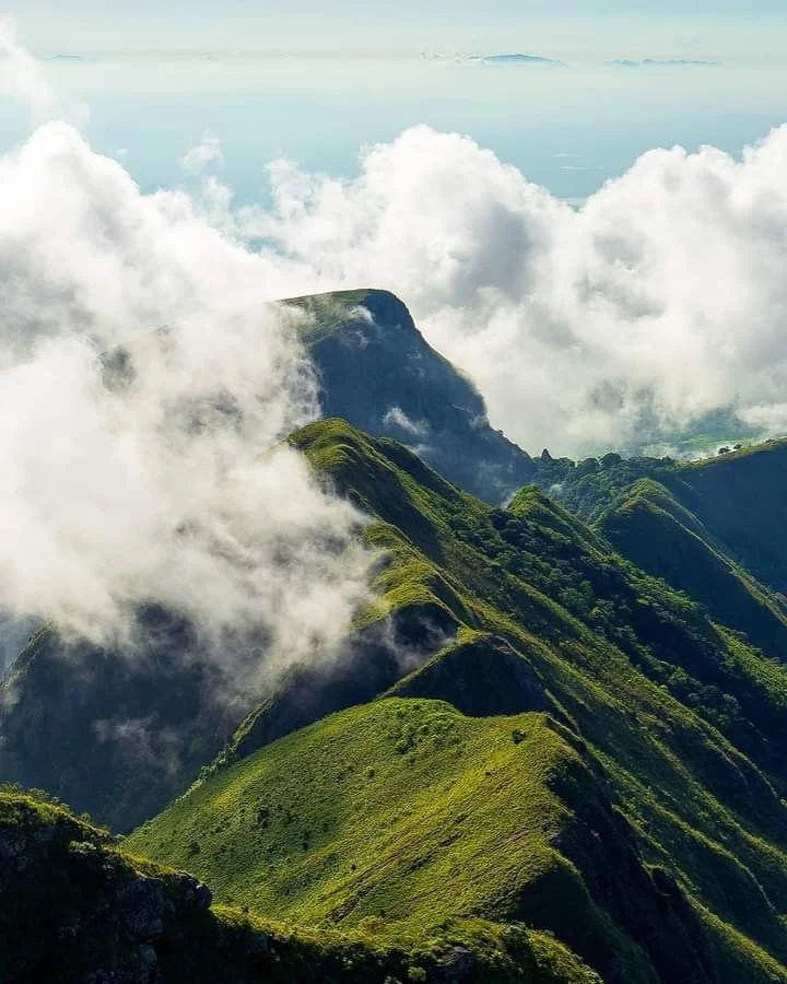 Knuckles Mountain Range