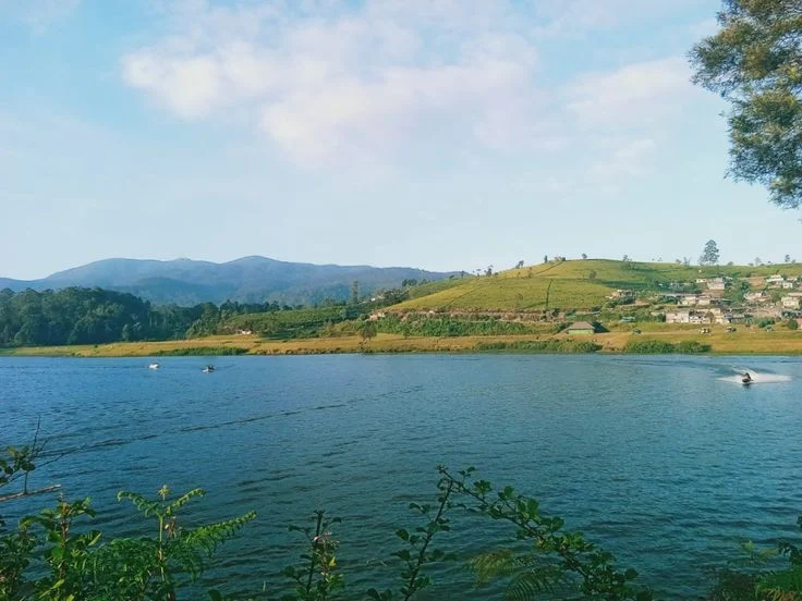 Gregory Lake