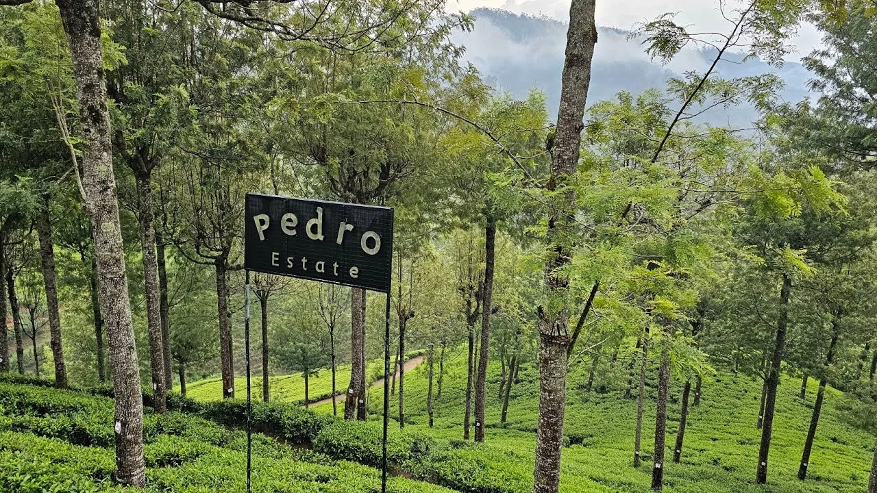 Pedro Tea Estate and Lover’s Leap