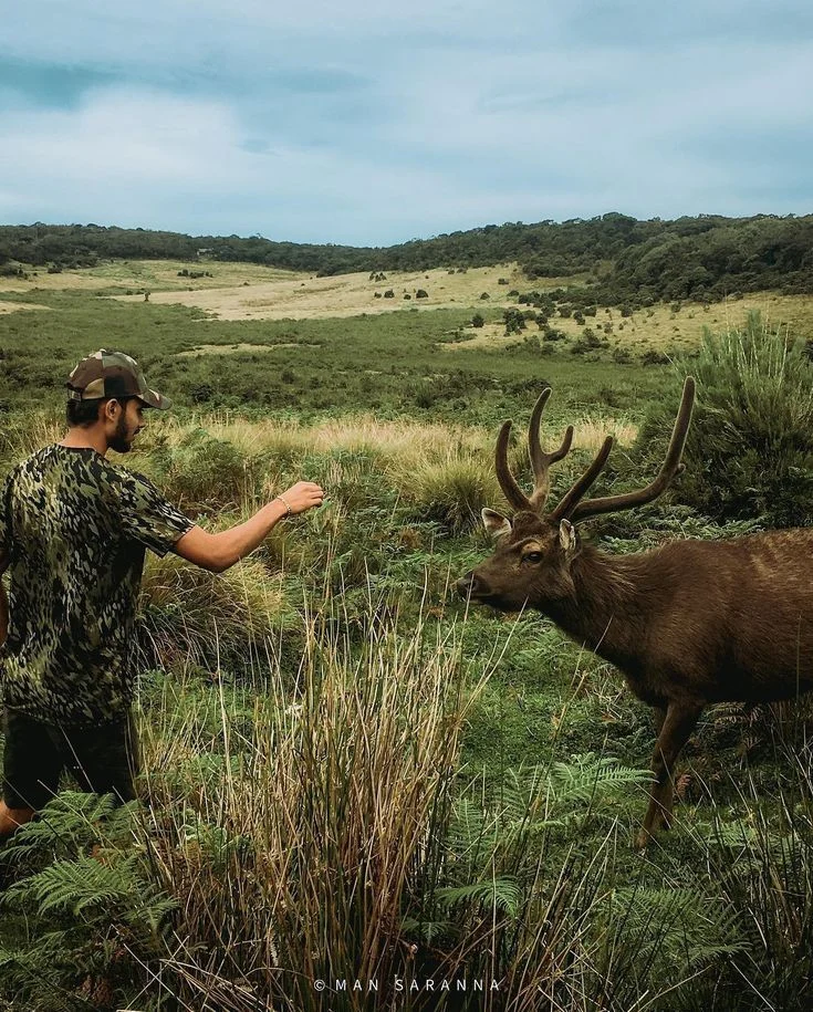 Horton Plains National Park