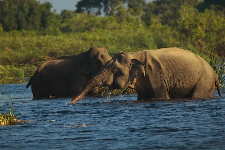 Gal Oya National Park