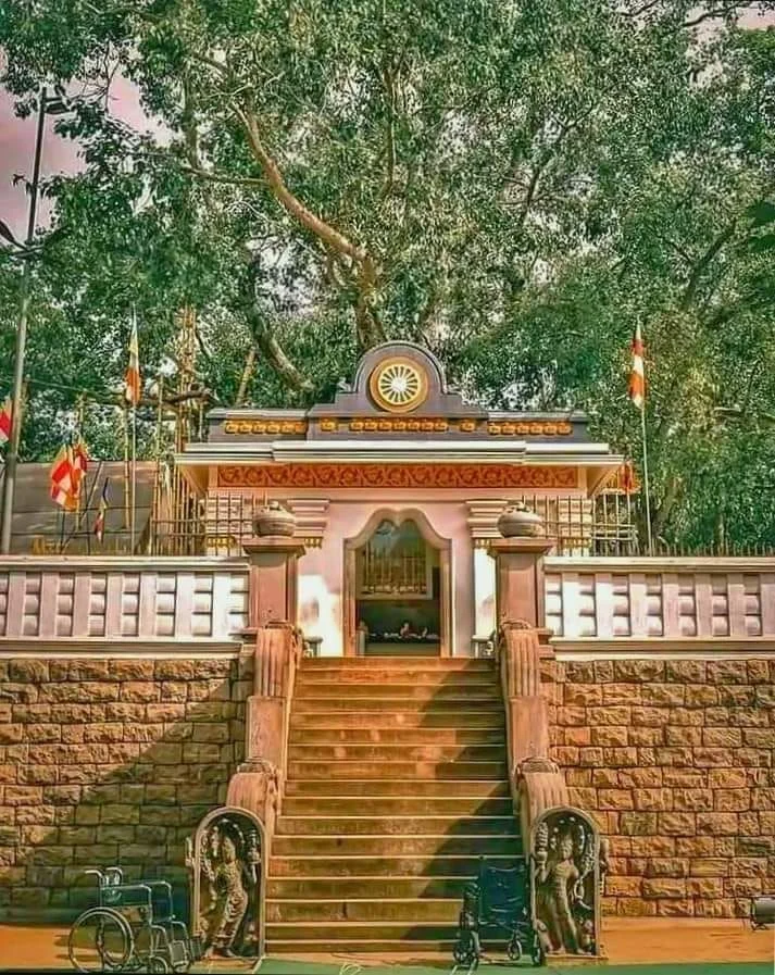 Jaya Sri Maha Bodhi