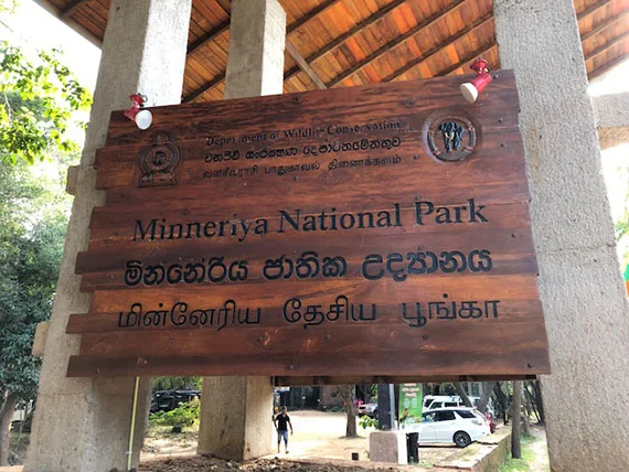 Minneriya National Park