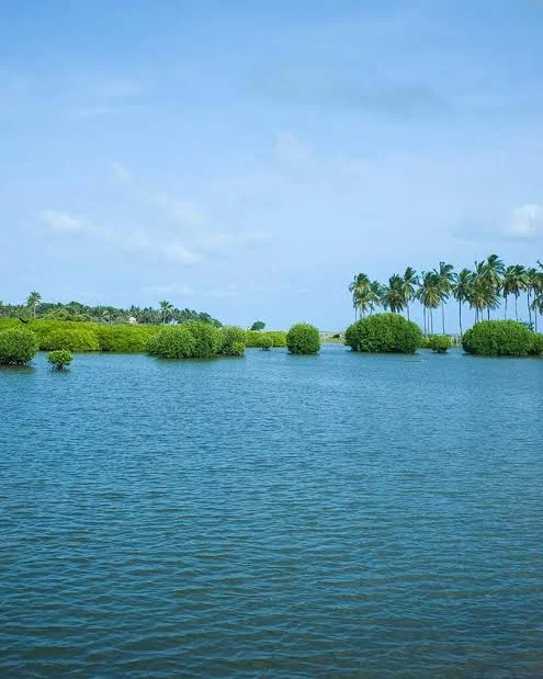 Kalpitiya Lagoon