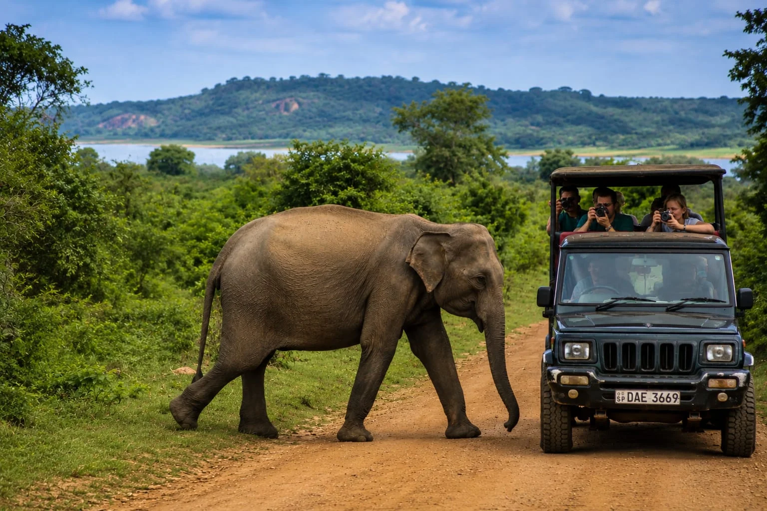 Udawalawe National Park